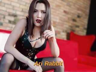Ari_Rabbit