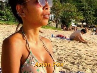 Asian_Fox