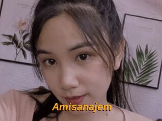 Amisanajem
