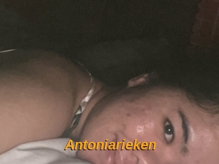Antoniarieken