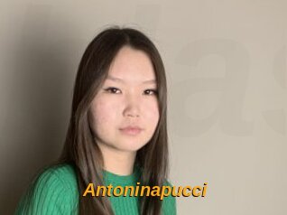 Antoninapucci