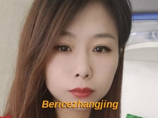 Bericezhangjing