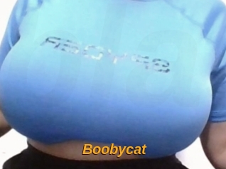 Boobycat