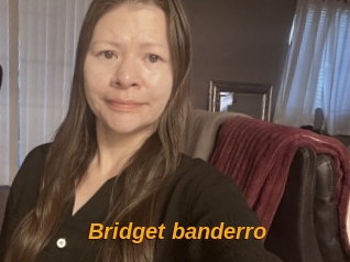 Bridget_banderro