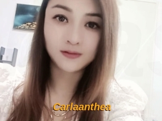 Carlaanthea