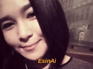 EsinAi