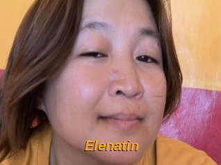 Elenatin