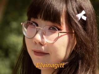 Elvinagitt