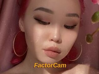 FactorCam