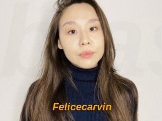 Felicecarvin
