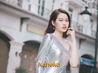 Kaneko