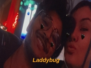 Laddybug