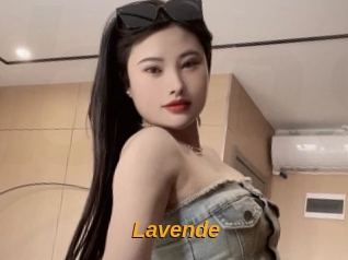 Lavende