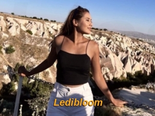 Ledibloom