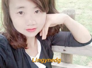 Lingynedg