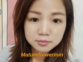 Matureflowermm