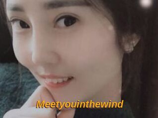 Meetyouinthewind
