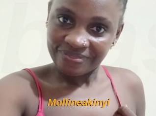 Mollineakinyi