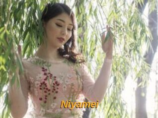 Niyamei