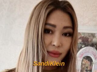 SandiKlein