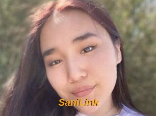 SaniLink