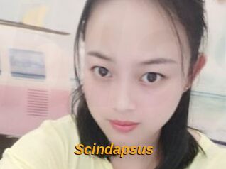 Scindapsus