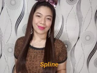 Spline