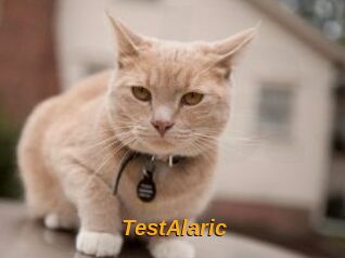 TestAlaric