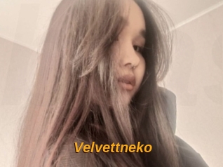 Velvettneko