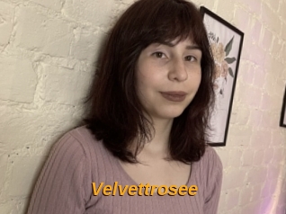 Velvettrosee