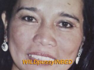 WILDpussyINBED