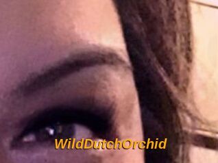 WildDutchOrchid