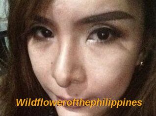 Wildflowerofthephilippines