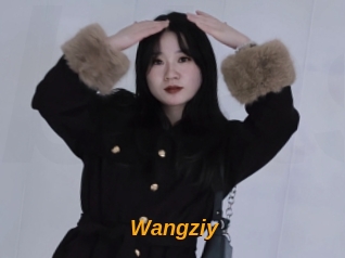 Wangziy