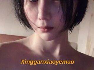 Xingganxiaoyemao
