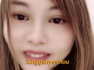 Xingganyeshou