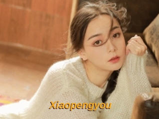 Xiaopengyou