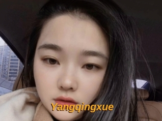 Yangqingxue